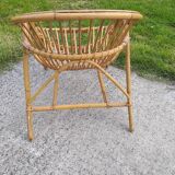 Rattan shell chair