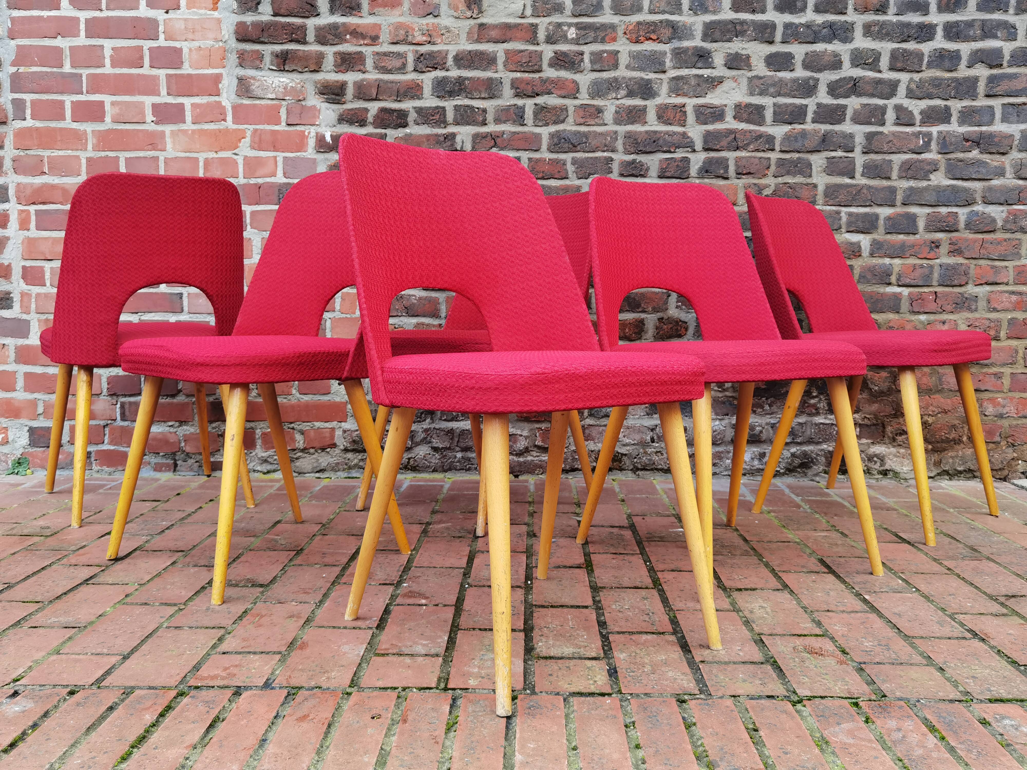 Lot of 6 Oswald Haerdtl chairs for Ton