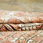 Vintage Zemmour Berber rug