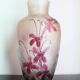 François Théodore Legras ovoid vase with floral decoration, Rubis Art Nouveau series.