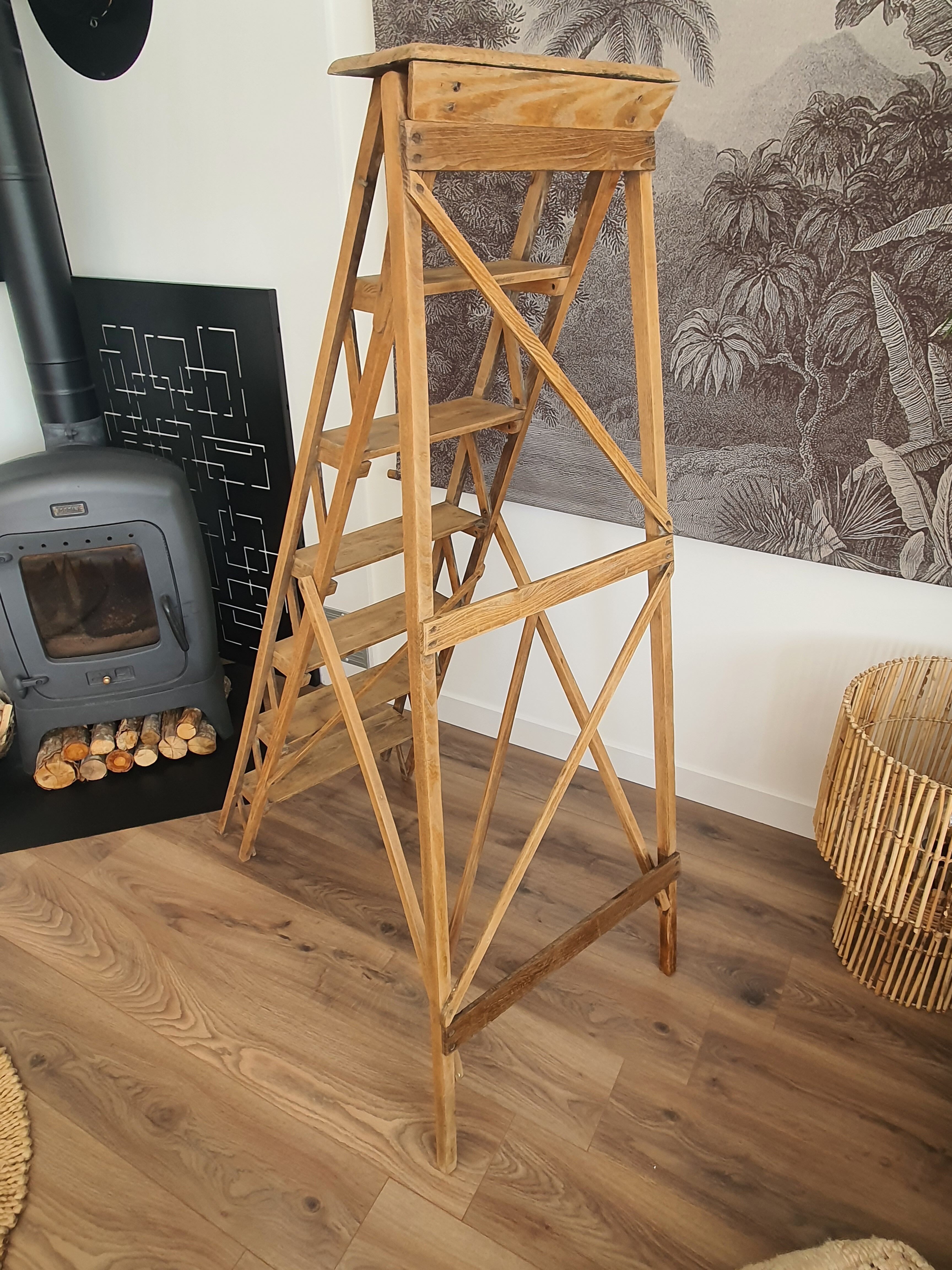 Old painter's stepladder