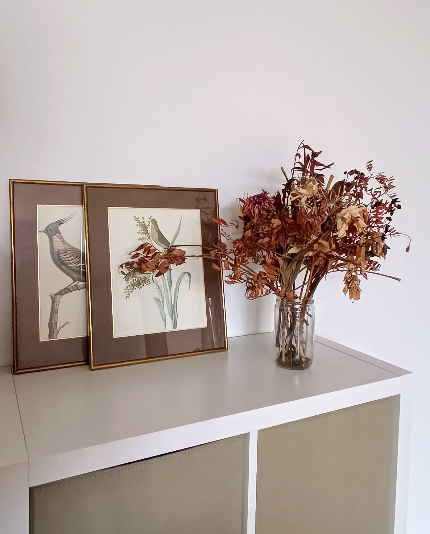 Set of 2 old bird frames, vintage ornithological paintings