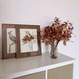 Set of 2 old bird frames, vintage ornithological paintings