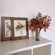 Set of 2 old bird frames, vintage ornithological paintings