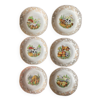 6 Limoges porcelain cheese plates