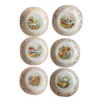 6 assiettes à fromage porcelaine de limoges