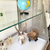 Old stainless steel window