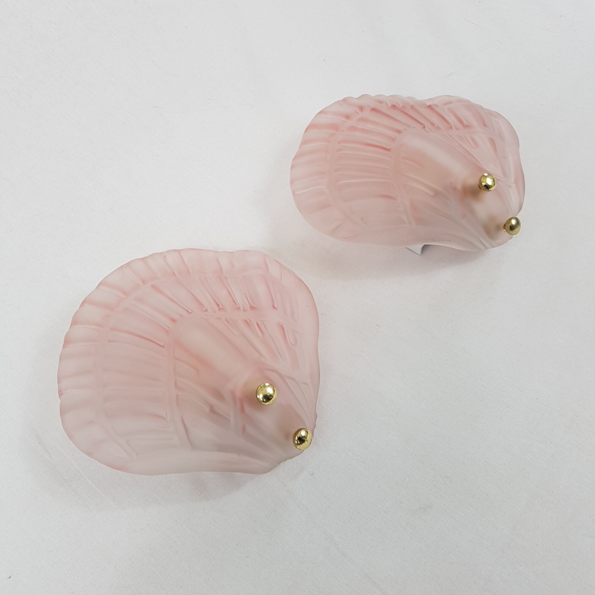 Pair of sconces shell pressed glass sand and Golden steel 1970
