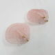 Pair of sconces shell pressed glass sand and Golden steel 1970