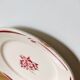6 old flat plates