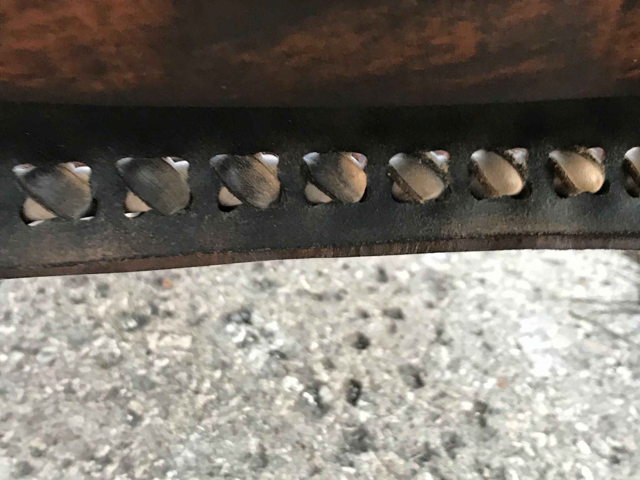 Leather Safari Armchairs, 1960s, Set of 2