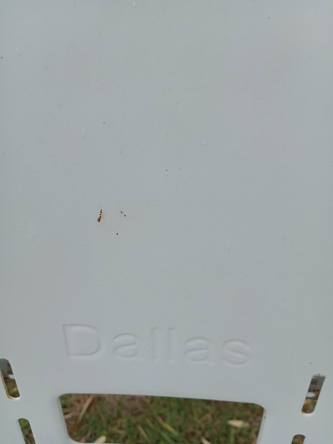 Pair of "Dallas" chairs by Paolo Favaretto