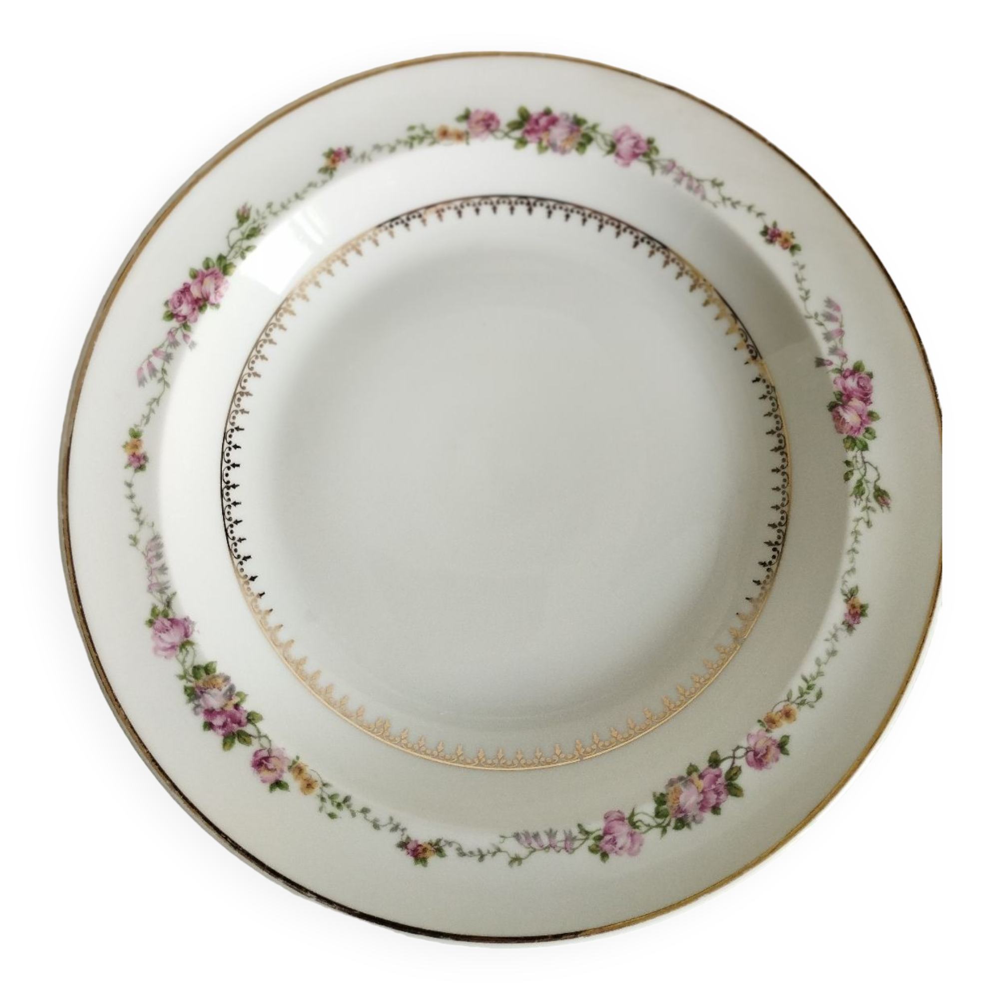 Deep plates Bardet Limoges France