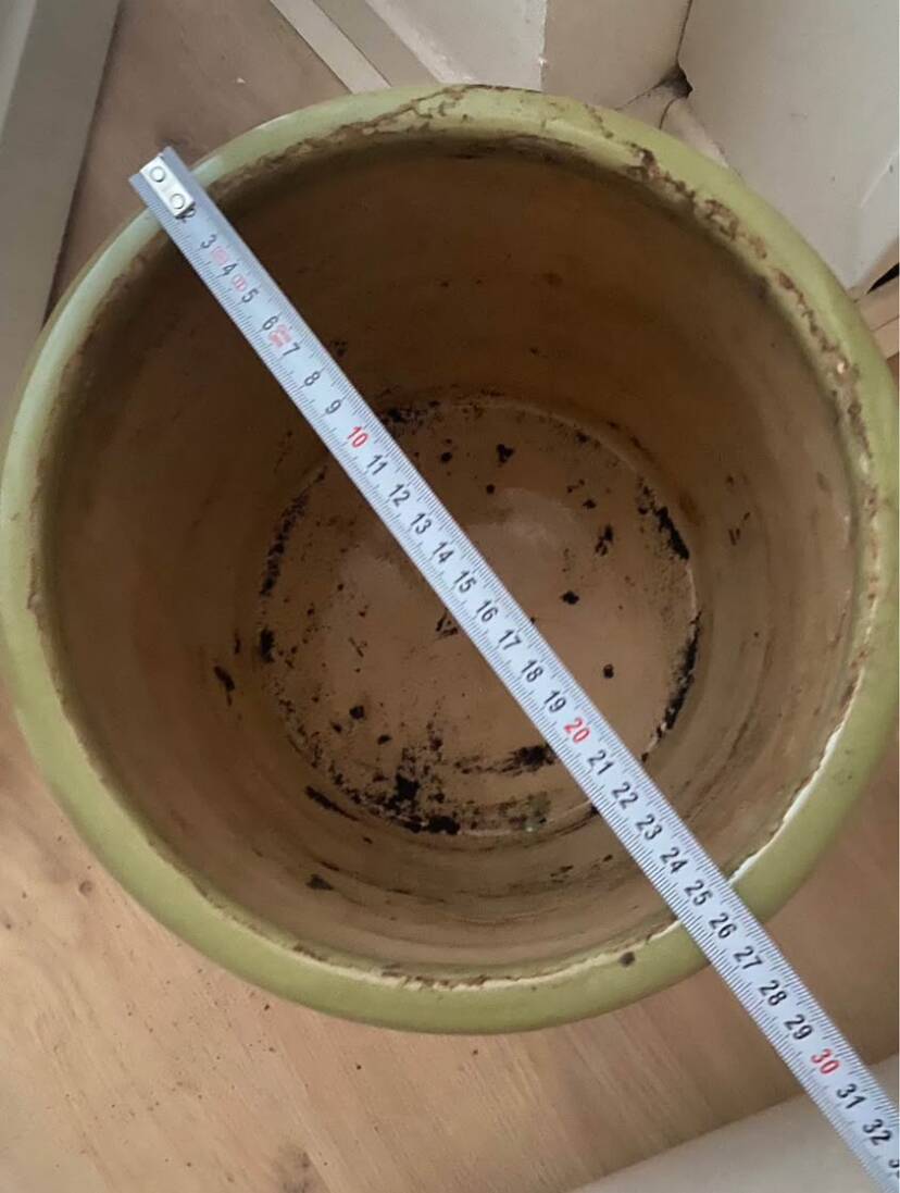 Large green designer flowerpot