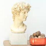 Bust of David by Michelangelo 1950s