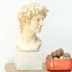 Bust of David by Michelangelo 1950s