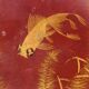 Pair of lacquered wooden panels, fish, Vietnam, Tran Van Ha (1911-1974)