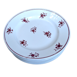 Lot de 4 assiettes plates