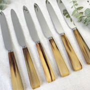 Lot de 6 couteaux de table vintage en corne