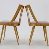 1960s Antonin Suman Set of Four Dining chairs in Beech Wood , Czechoslovakia
