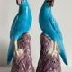 Pair of phenix birds chinese porcelain early 20th century