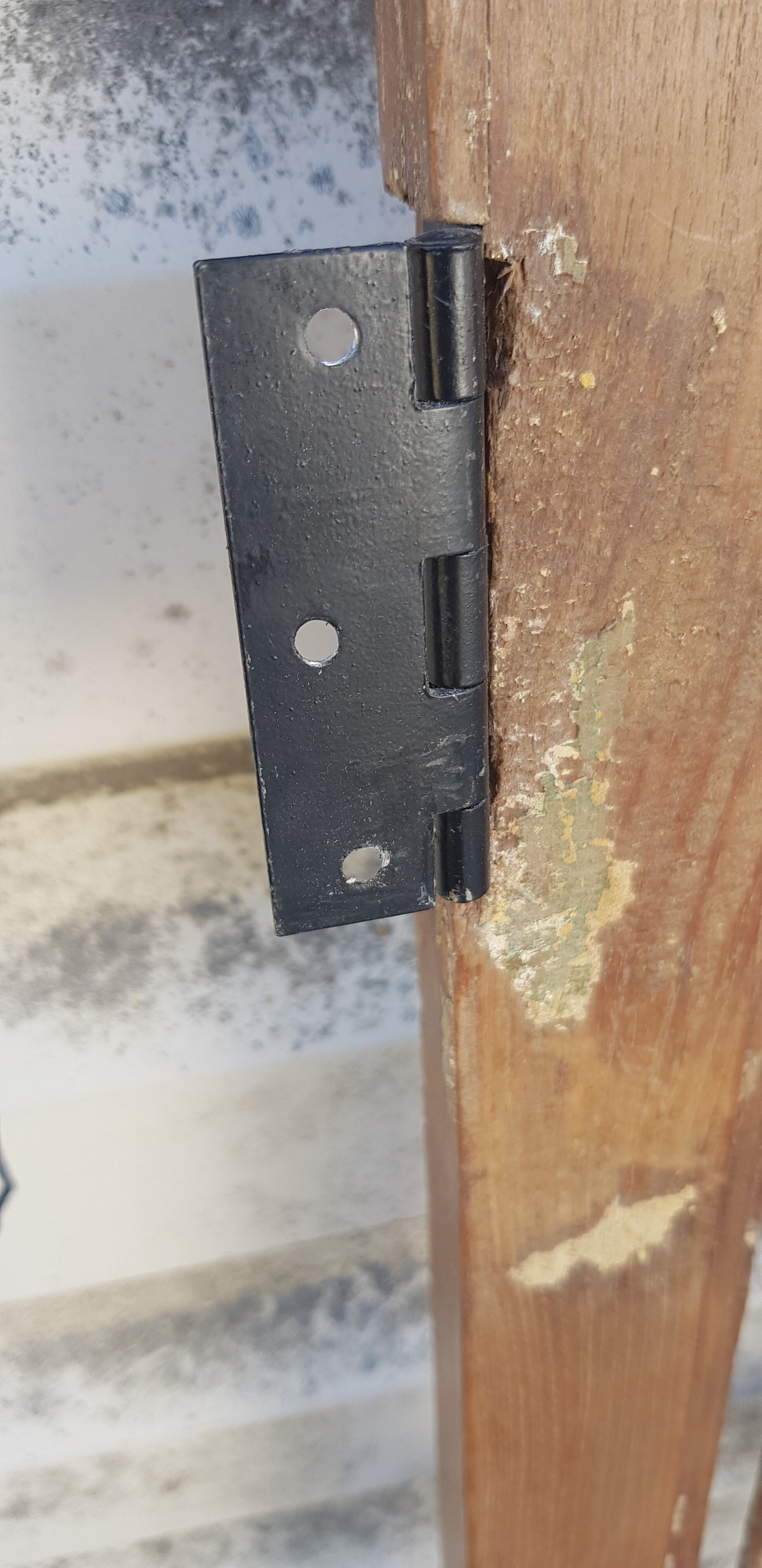 Old teak and wrought iron gate