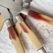 12 vintage Pradel stainless steel bakelite knives