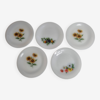 Set of 5 vintage Arcopal dessert plates