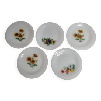 Set of 5 vintage Arcopal dessert plates