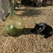 Give me green Jeanne 20 L.