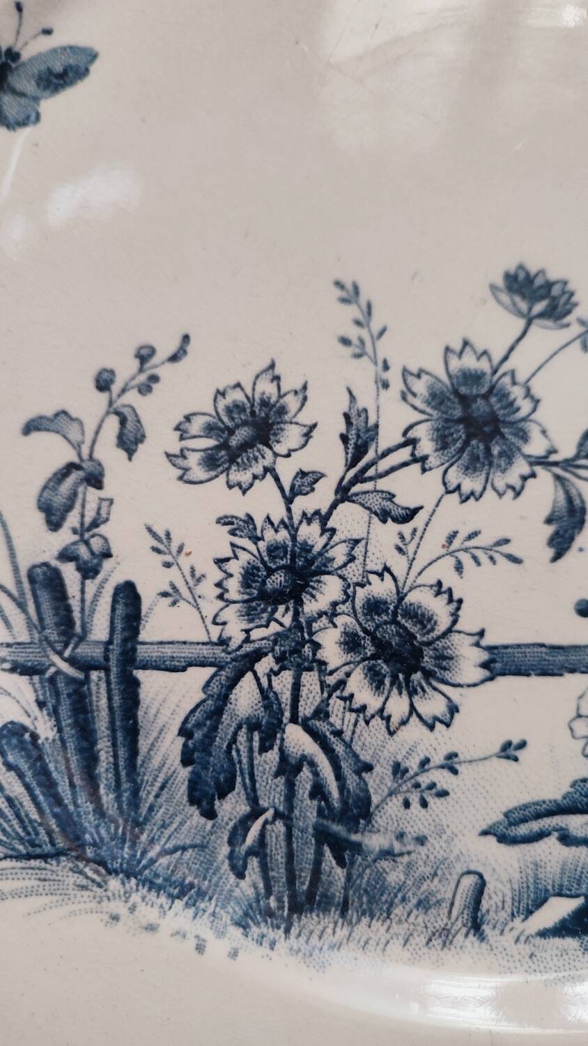 4 flat plates in Sarreguemines earthenware, Tsarine