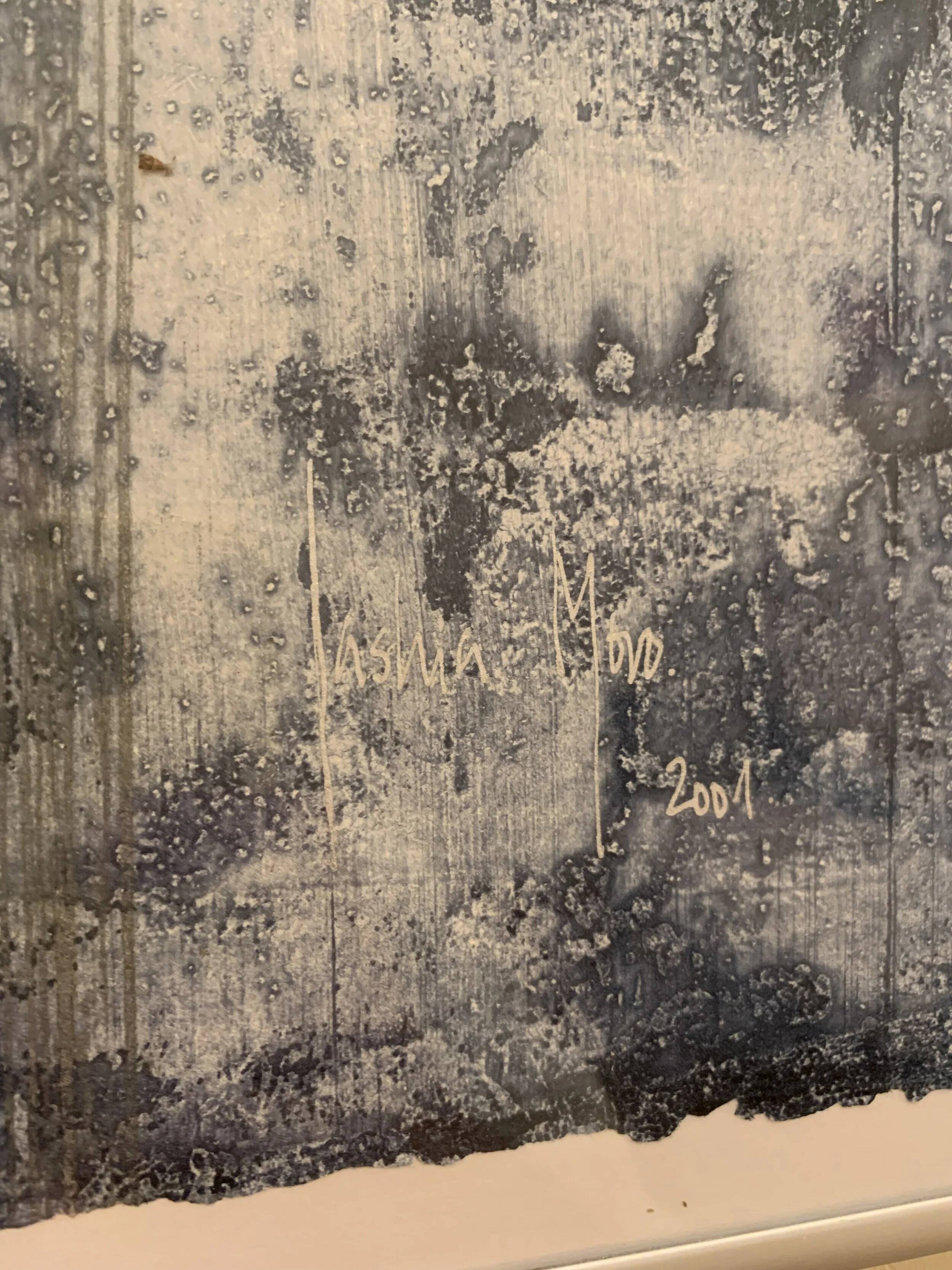 Saskia Moro Monotype 07 from the Series "Mareas"