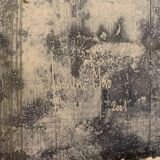 Saskia Moro Monotype 07 from the Series "Mareas"