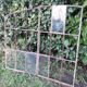 Industrial arched metal window L128xH114 19th century glass roof 2 leaves