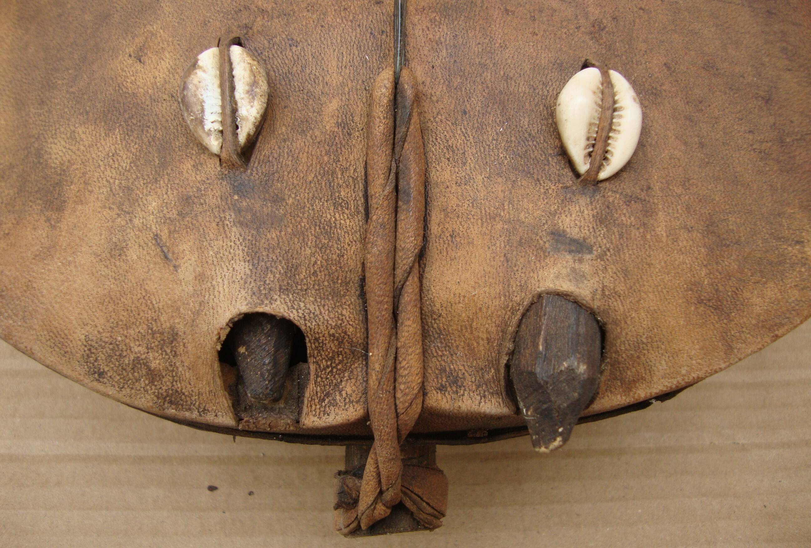 Traditional African Kora