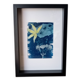 Cyanotype original avec cadre profond noir