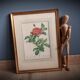 Litho Rosier Pont