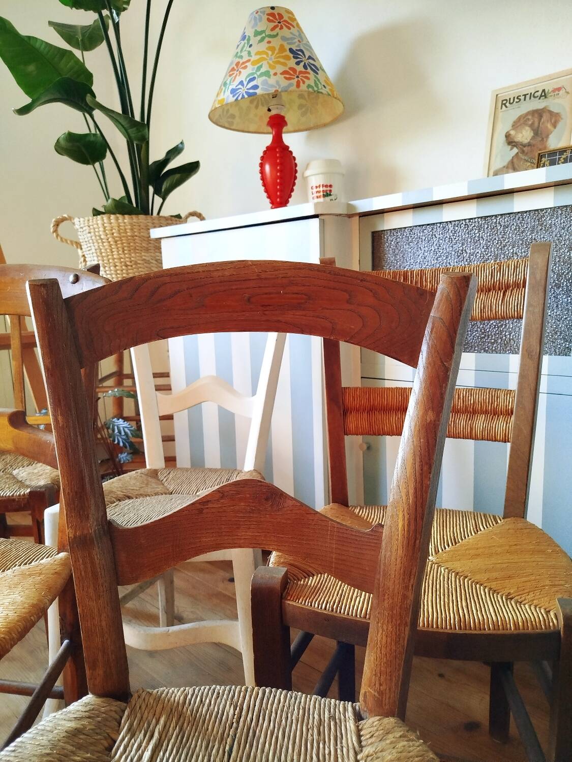 Set of 6 antique chairs