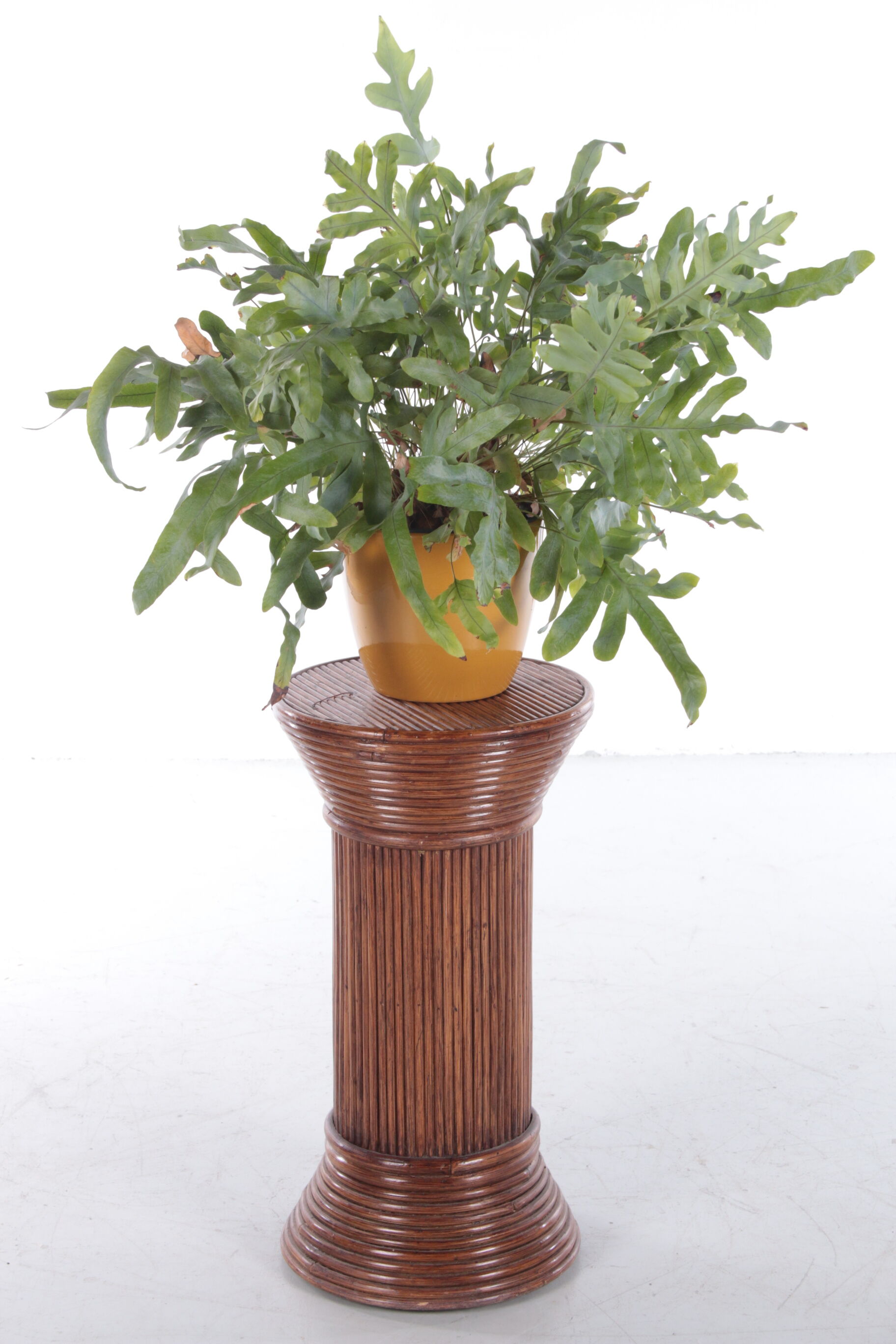 Vintage bamboo plants column or pedestal 1960s