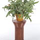 Vintage bamboo plants column or pedestal 1960s