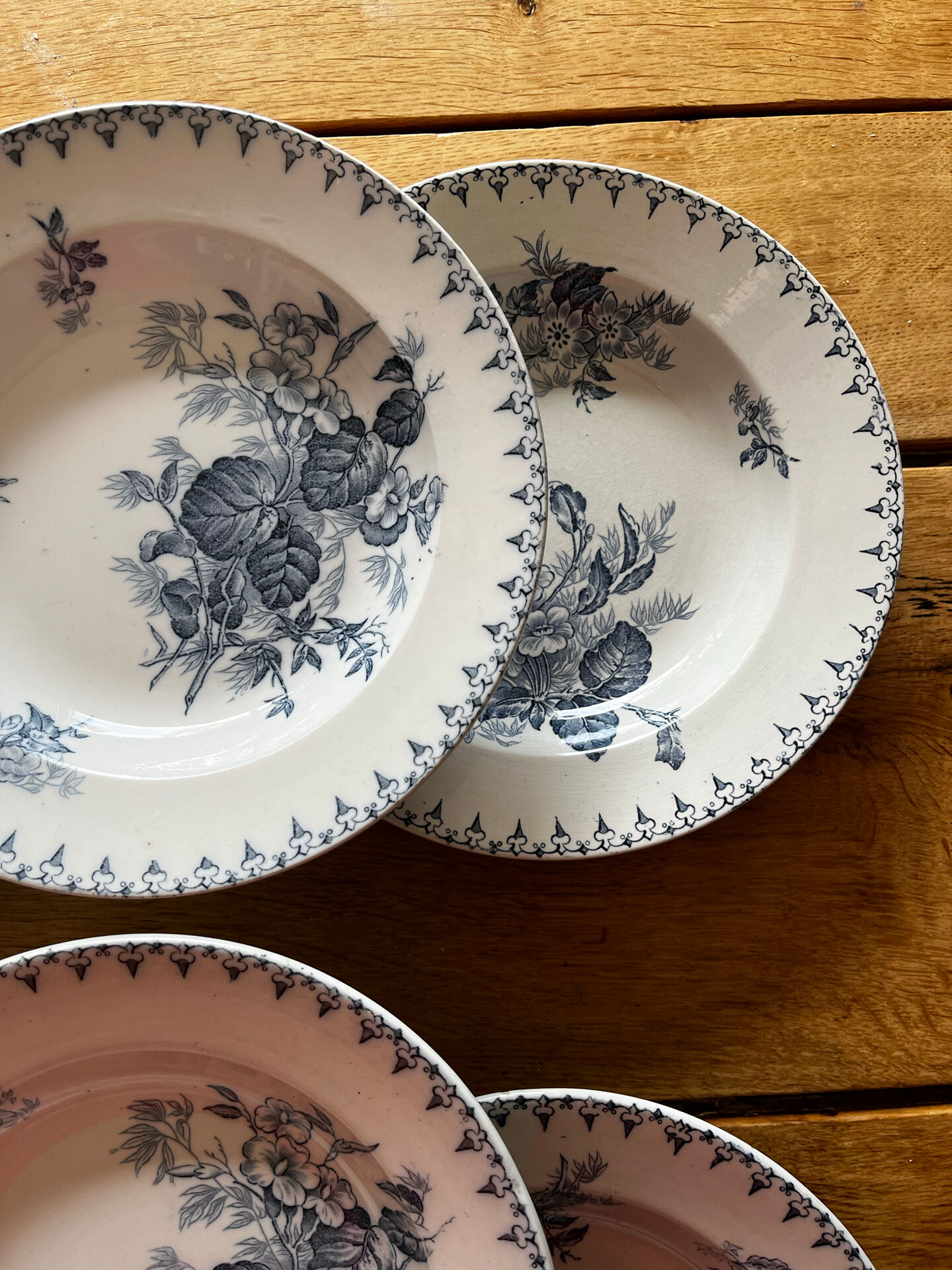 6 assiettes terre de fer 