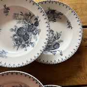 6 assiettes terre de fer 