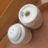 Salt and pepper shaker