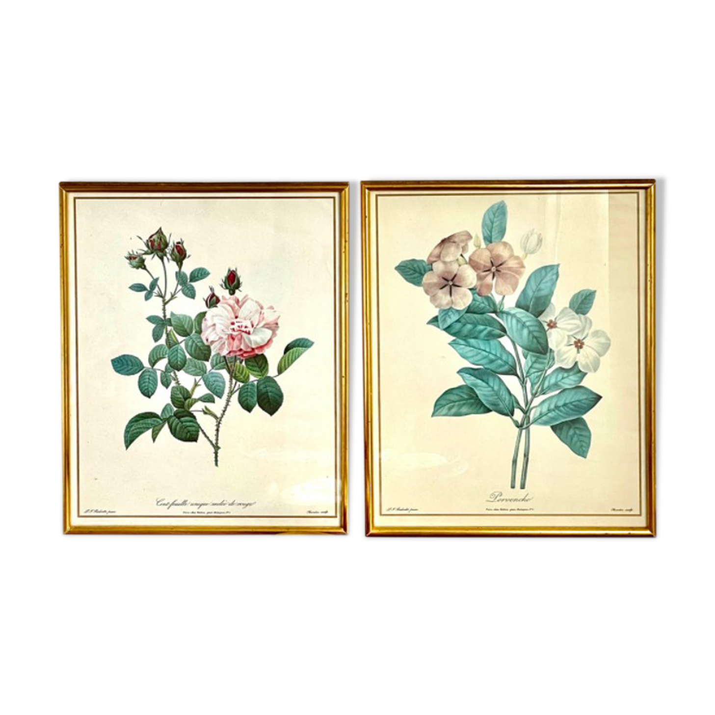 Set of two reproductions of Redouté framed in gilded wood.