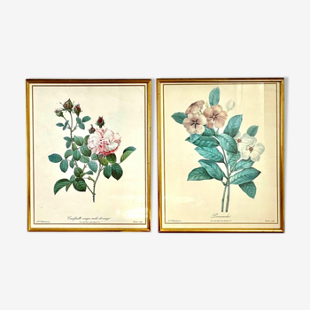 Set of two reproductions of Redouté framed in gilded wood.