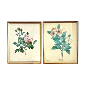 Set of two reproductions of Redouté framed in gilded wood.