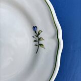 Plate