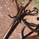 Baumann vintage swivel parrot coat holder of the 60s