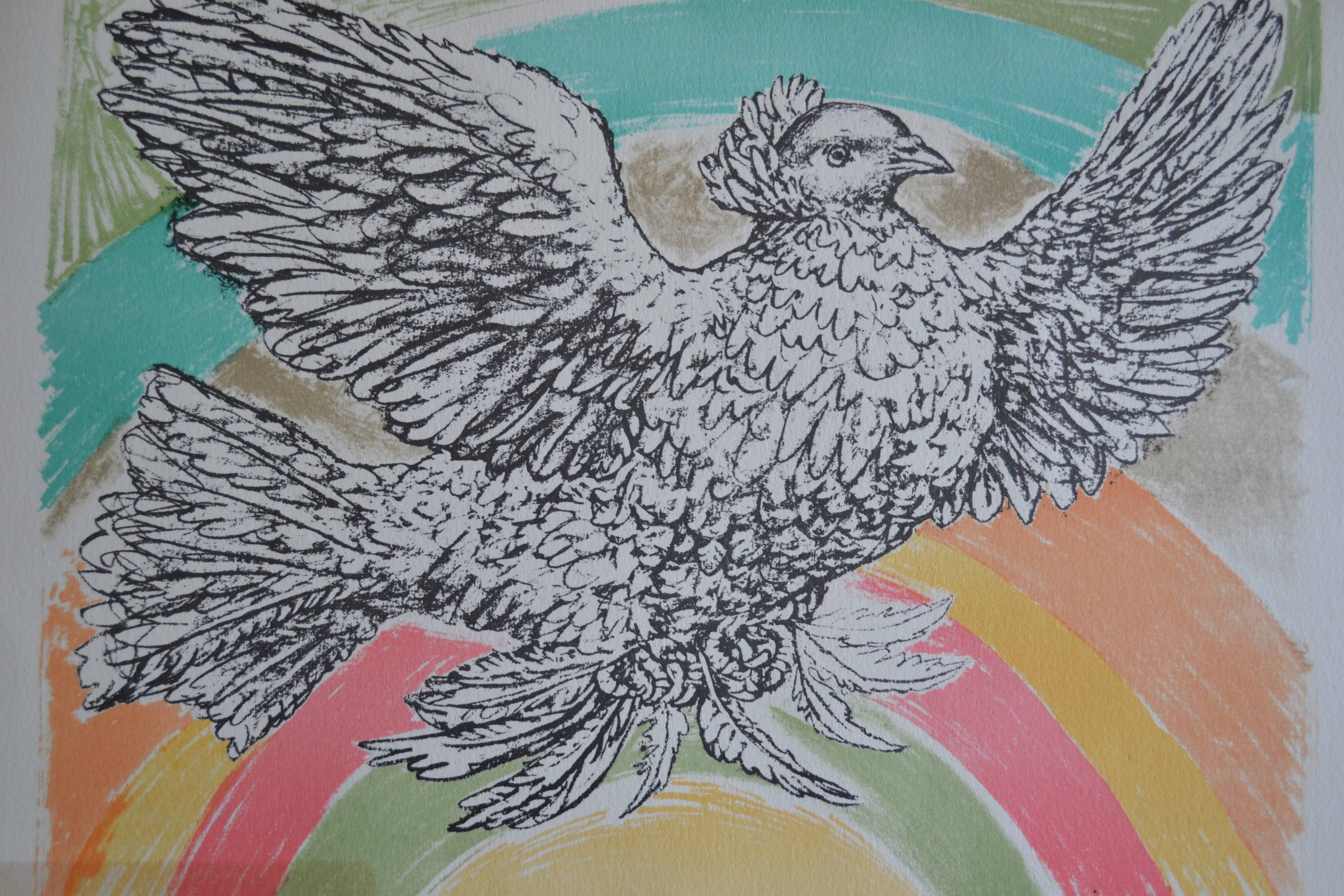 Picasso original lithograph 1952 Dove with a rainbow 38x28cm
