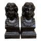 Pair of antique cast iron fire dogs "Ariadne"